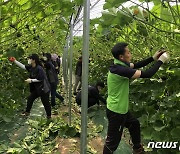 해남군, 5~6월 본격 농번기철 맞아 민·관·군 총력 지원