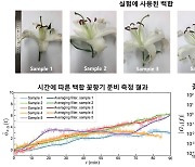 KAIST, 세계 최초로 꽃향기 실시간 가시화 측정 성공