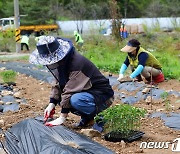 "땀 흘리는 농사로 도박중독 치유한다"