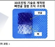 시지바이오, 美 WFIRM과 3D프린팅 이용 뼈·연골 재생 연구 협력