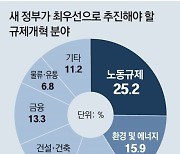 기업 25% "尹정부, 노동개혁 최우선 과제로"