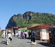 제주공항 국제선 운항 재개 움직임