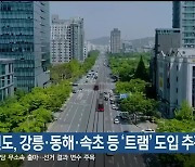 강원도, 강릉·동해·속초 등 '트램' 도입 추진