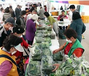 홍천 산나물축제 판매장터 성료..사흘간 7만명 방문