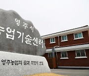 영주시, 지역청년농업인 지원 나서..농지 임대료 지원 사업 접수..6월30일까지