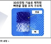 시지바이오, 美 WFIRM과 3D프린팅 이용 뼈·연골 재생 연구