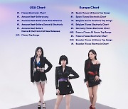비비지, 美 아이튠즈 일렉트로닉 차트 1위..글로벌 존재감 [공식입장]