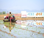 모내기 시작된 북한 강서구역 청산리