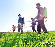 북한, 농작물 가뭄 피해 막으려 '물대기' 총력