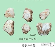 북한 '림경동굴유적'서 발견된 인류 화석