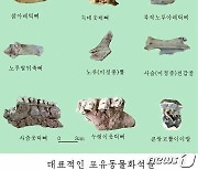 북한 '림경동굴유적'서 발굴된 포유동물 화석