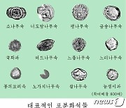 북한 '림경동굴유적'서 발굴된 포분 화석