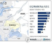 우크라 루한스크 가스관 가동 중단.. "러시아군 기술적 방해"