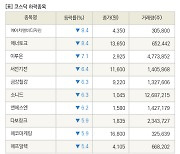 [fnRASSI]장마감, 코스닥 하락 종목(에이치앤비디자인 -8.4% ↓)