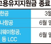 항공사, 휴직 승무원 복귀 검토.. '고용지원금 중단' 변수로