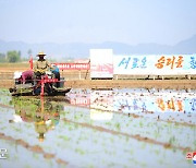 '만성적 식량난' 북한, 모내기철 맞아 "식량 자급자족은 국가 중대사"