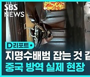 [D리포트] 집 안까지 강제로 들어와 소독..'친중' WHO까지 중국 비판