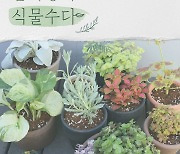 디어클라우드 임이랑, EBS '식물수다' 시즌2로 컴백