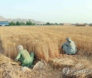 AFGHANISTAN AGRICULTURE