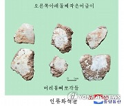 북한, 평양 구석기 동굴서 2만년 전 '인류 화석' 발견