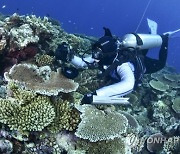 Australia Barrier Reef