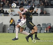 Timbers LAFC Soccer