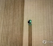 Germany Agriculture Drought