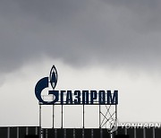 RUSSIA COMPANY INFORMATION GAZPROM