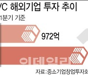 "동남아 예비유니콘 선점하자"..VC 해외투자 작년 2배