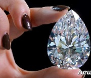 세계 최대 다이아몬드 '더 록' 크리스티서 280억에 낙찰