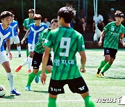 태백서 강원도축구협회장배 동호인 대회 개최