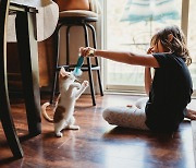 "개·고양이 덕분에 아이들 행복"..코로나 3년, 동물과 생활 돌아보니