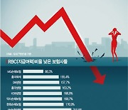 보험사 RBC 뚝뚝, 하반기가 더 문제