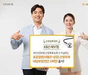 KB손보, '중증질환(뇌혈관·심장)산정특례 대상 보장' 출시