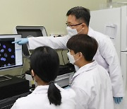 표준연, 암 유발 'DNA 손상조각' 체내 감소 원인 밝혀