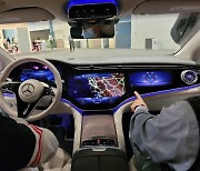 삼성·LGD "車디스플레이가 미래" 전진배치