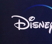 디즈니+, 가입자 몰렸다..3개월 간 790만 명 늘어