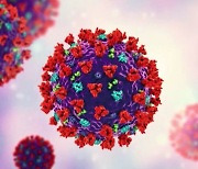 "코로나19 바이러스, 더 안정적 구조로 진화..전파력 커져"