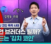 [비머 Q&A] 테라 · 루나 폭락 충격파..전 세계 흔든 '김치 코인' 사태, 대체 무슨 일?