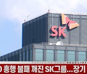 (영상)IPO 흥행 불패 깨진 SK그룹..장기 전략 차질 빚나