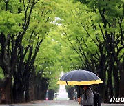 [오늘의 날씨] 경기(13일, 금).."남동부 오후 한때 빗방울"
