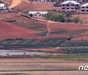 오미크론 확산 속에서 농사일 하는 북한 주민들