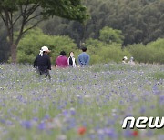 태화강 국가정원 봄꽃 감상하는 시민들