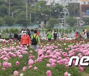 '봄꽃 축제' 태화강 국가정원에 몰린 인파