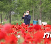 '봄꽃 축제' 태화강 국가정원 찾은 시민들
