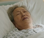 김영옥, '내일'서 위안부 피해자役 특별 출연