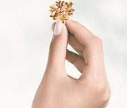 [High Collection] 꽃에서 영감받은루비와 에메랄드컬러 스톤의 매력