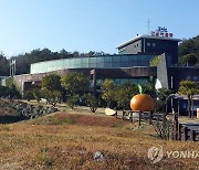 [서귀포소식] 감귤박물관 '하귤 수제청 만들기' 체험 운영