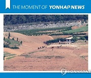 [모멘트] 밭일하는 북한 주민들
