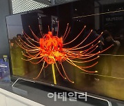 LCD 따라 잡은 중국..'OLED' 대거 선보였지만 '혹평'